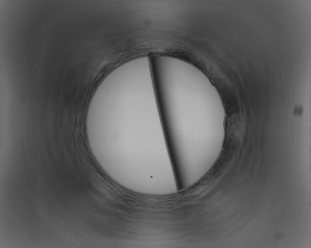 X0000089430509200707131847