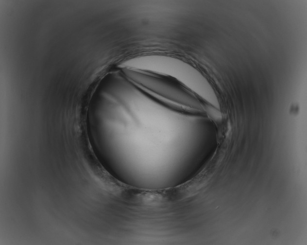 X0000089430512200707131847