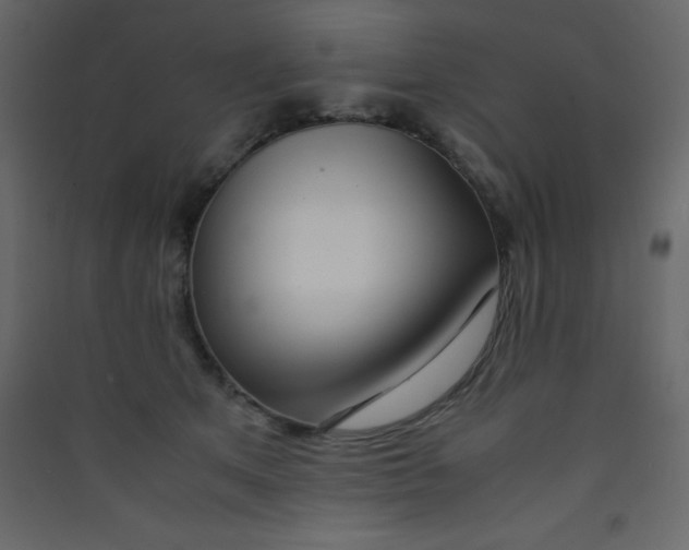 X0000089430513200707131847