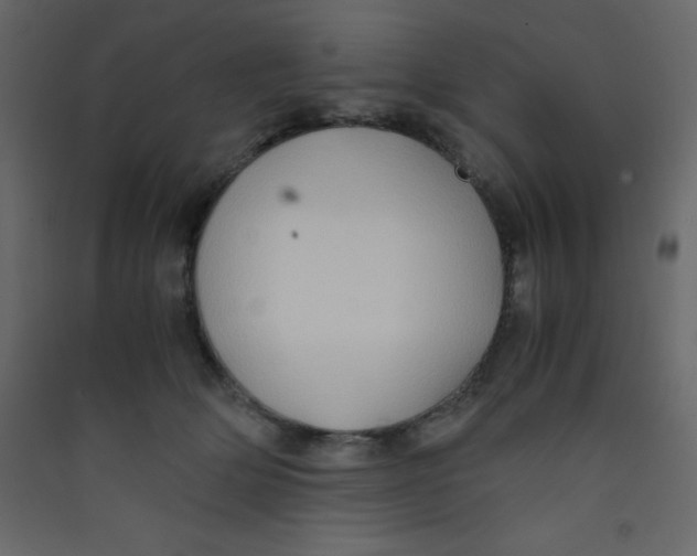 X0000089430514200707131847