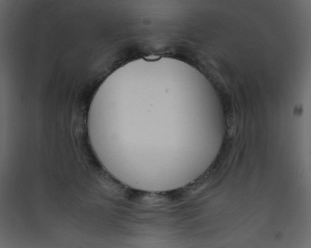 X0000089430515200707131847