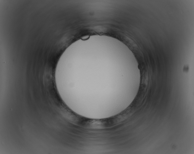 X0000089430518200707131847