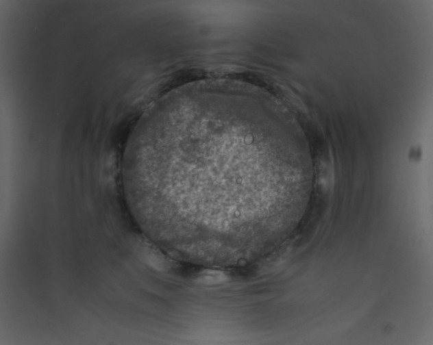 X0000089430519200707131847