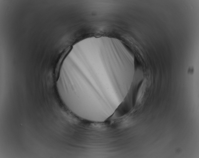 X0000089430520200707131847