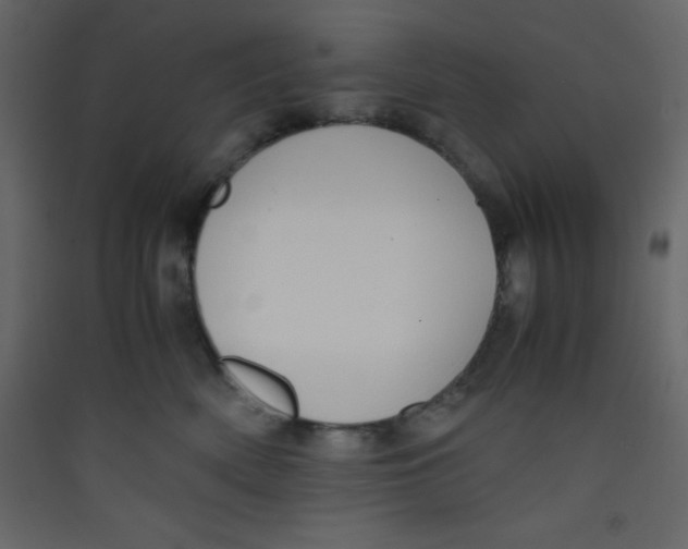 X0000089430522200707131847