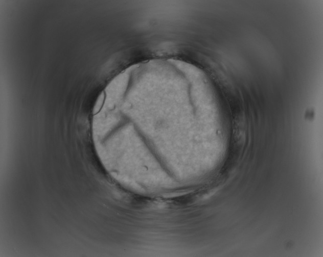 X0000089430523200707131847