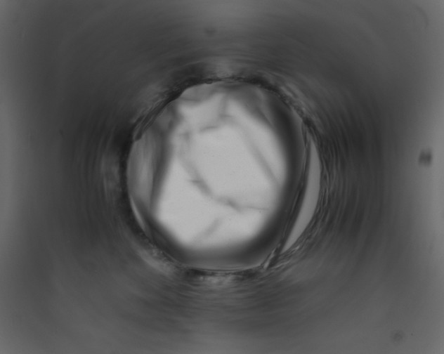 X0000089430524200707131847