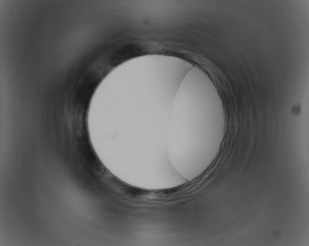 X0000089430525200707131847