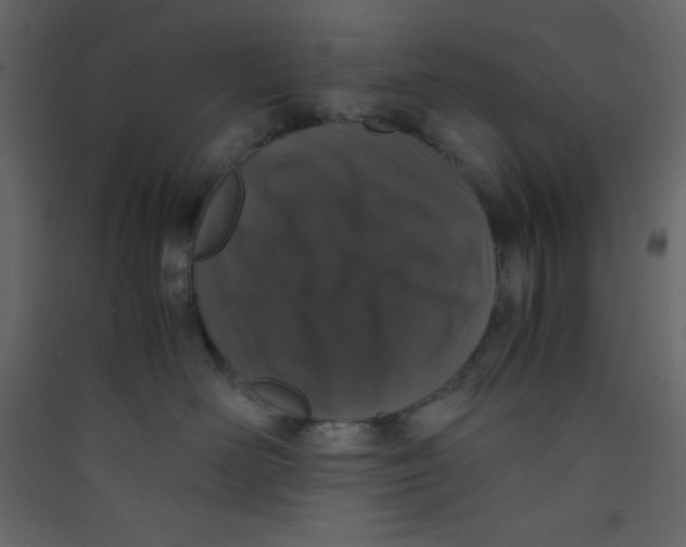 X0000089430526200707131847