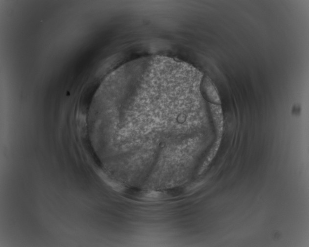 X0000089430527200707131847