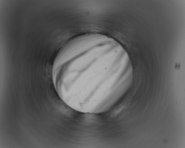X0000089430528200707131847