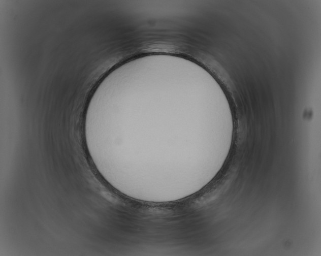 X0000089430529200707131846