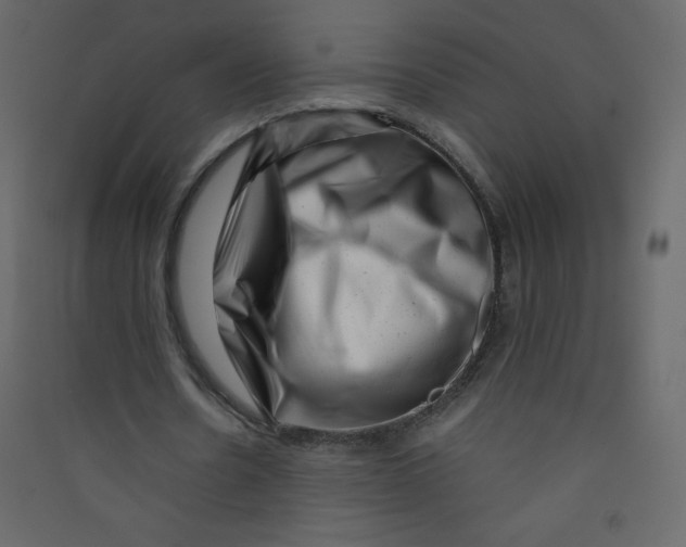 X0000089430530200707131846