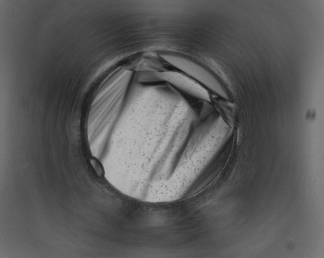 X0000089430531200707131846
