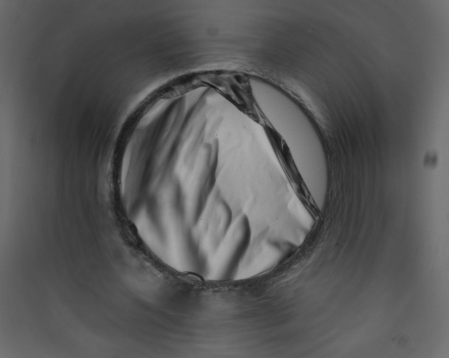 X0000089430532200707131846