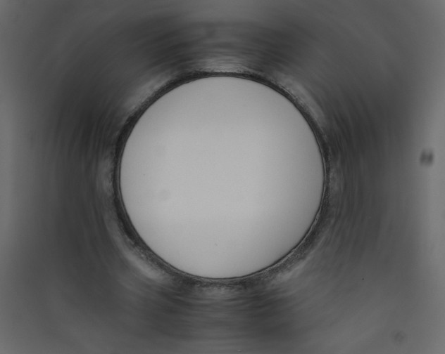 X0000089430533200707131846
