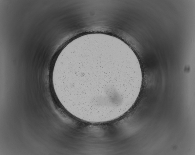 X0000089430534200707131846