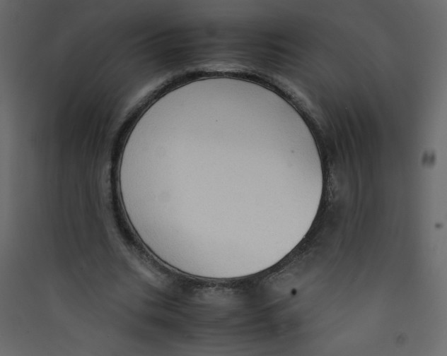 X0000089430535200707131846