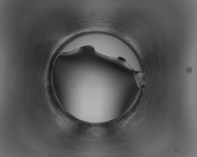 X0000089430536200707131846