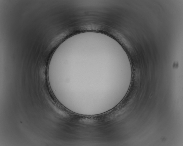 X0000089430537200707131846