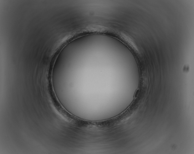 X0000089430538200707131846