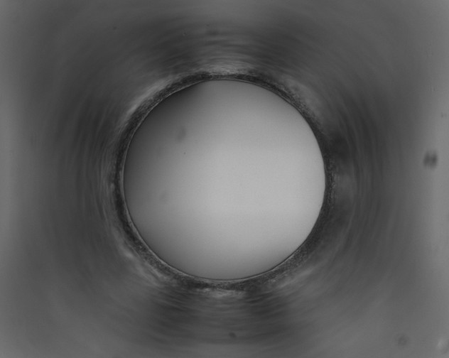 X0000089430539200707131846