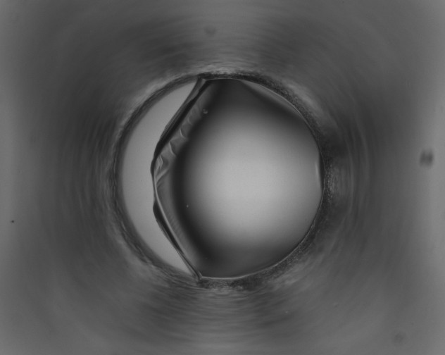 X0000089430540200707131846