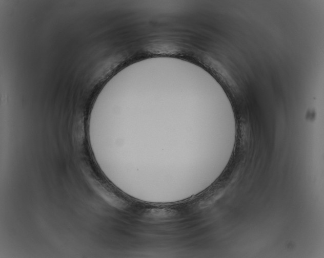 X0000089430541200707131846