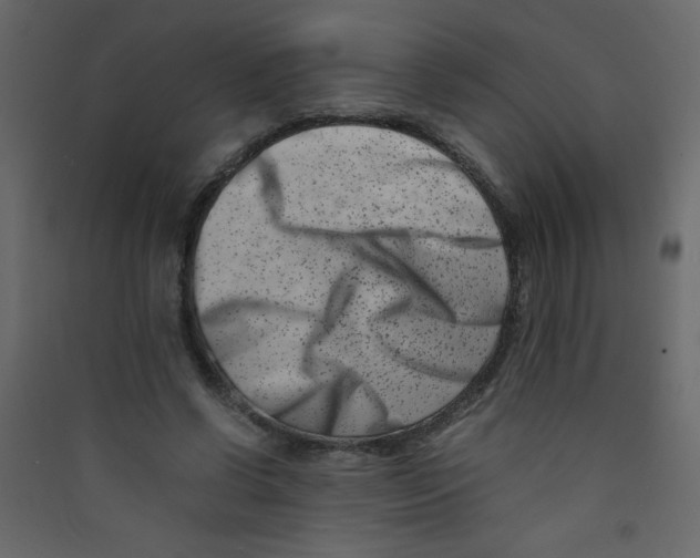 X0000089430542200707131846