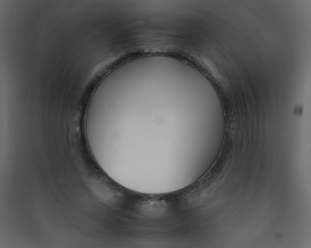 X0000089430543200707131846