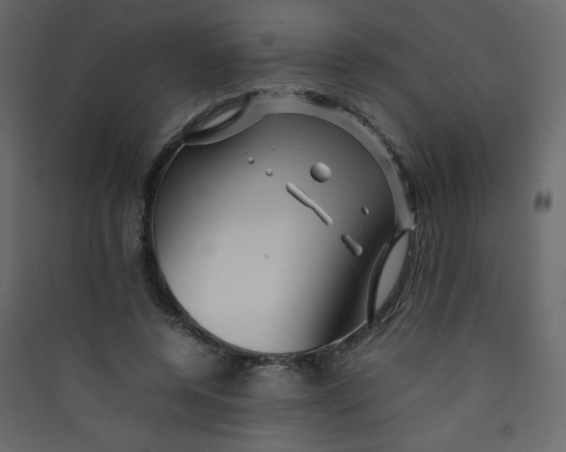 X0000089430544200707131846