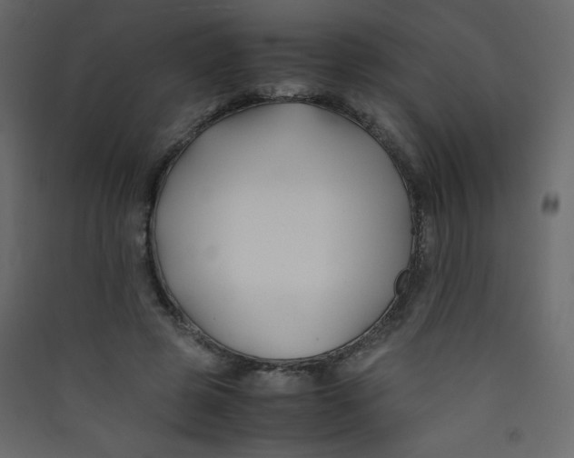 X0000089430545200707131846