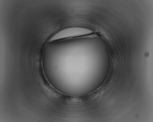 X0000089430546200707131846