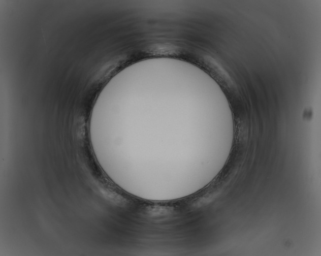 X0000089430549200707131846