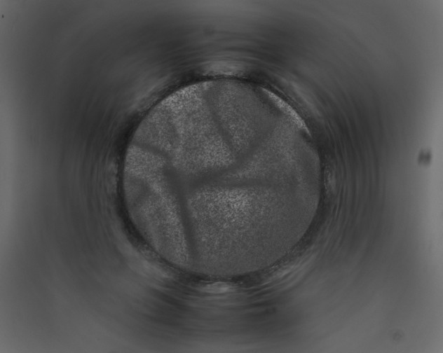 X0000089430551200707131846