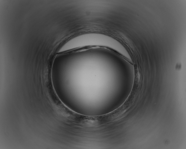 X0000089430552200707131846
