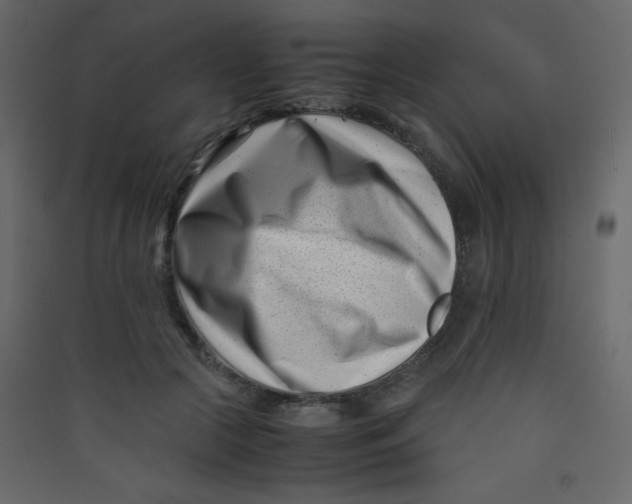 X0000089430553200707131846