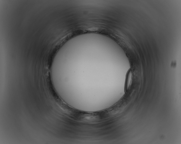 X0000089430555200707131846