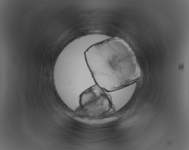 X0000089430557200707131846