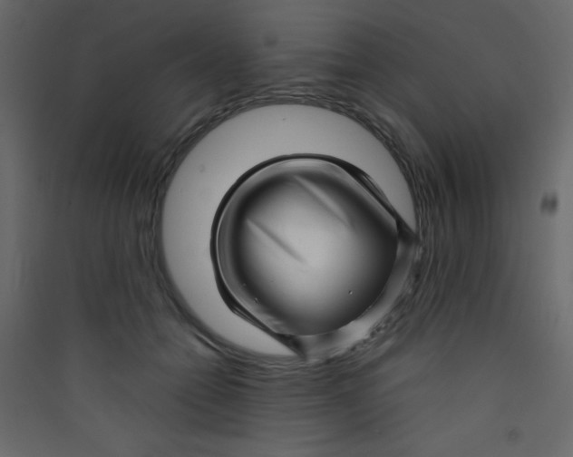 X0000089430558200707131846