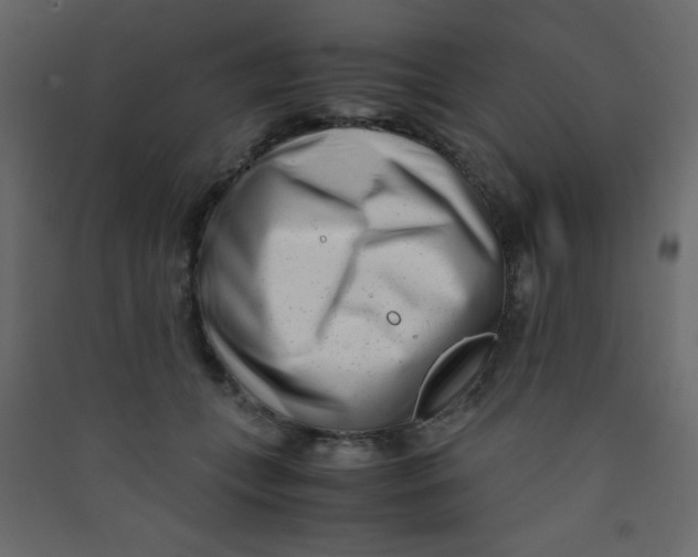 X0000089430559200707131846