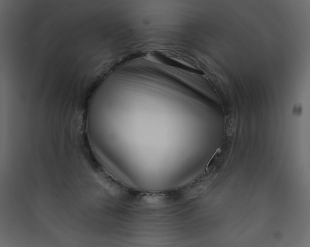 X0000089430560200707131846