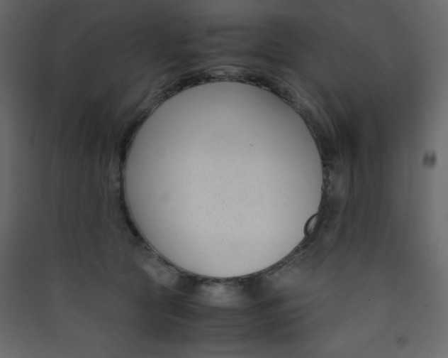 X0000089430561200707131846