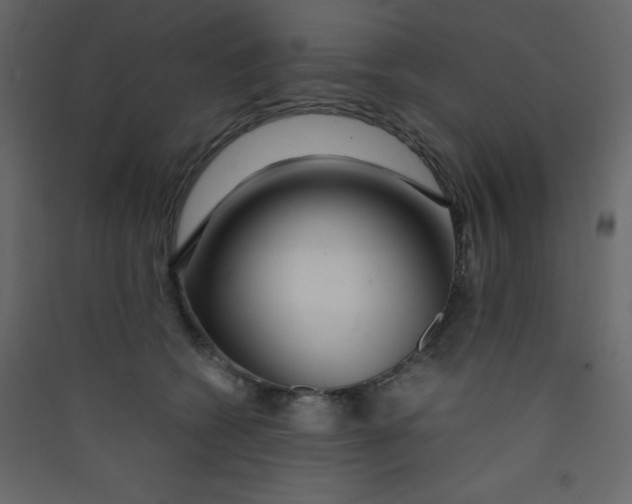 X0000089430562200707131846