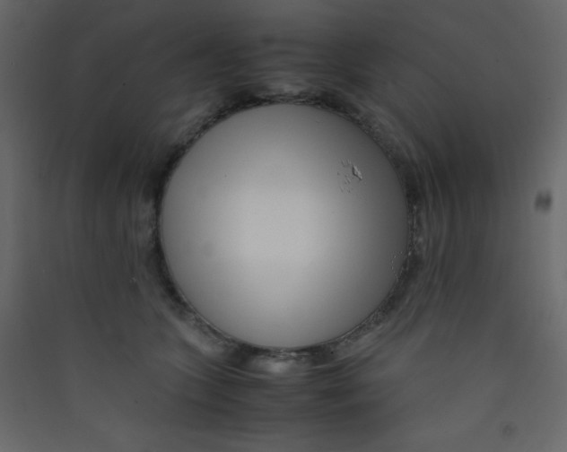 X0000089430563200707131846