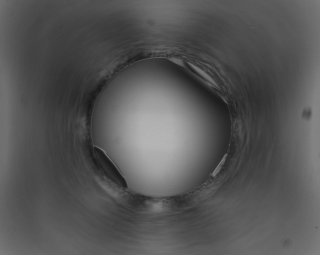 X0000089430564200707131847