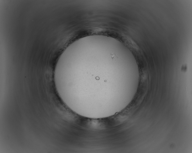 X0000089430565200707131847