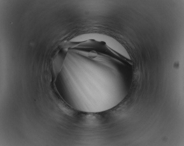 X0000089430566200707131847