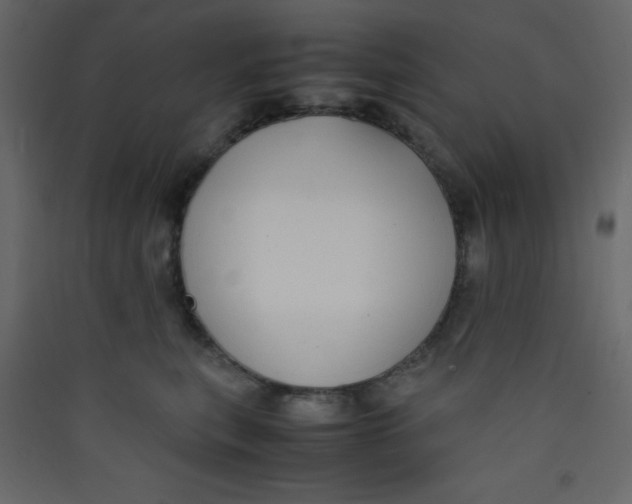 X0000089430567200707131847