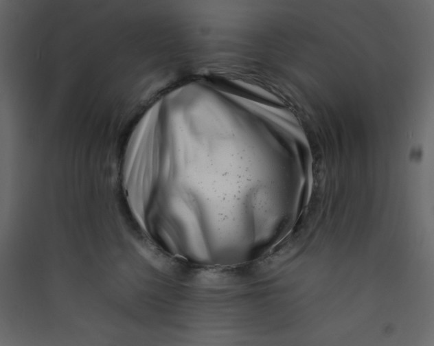 X0000089430568200707131847